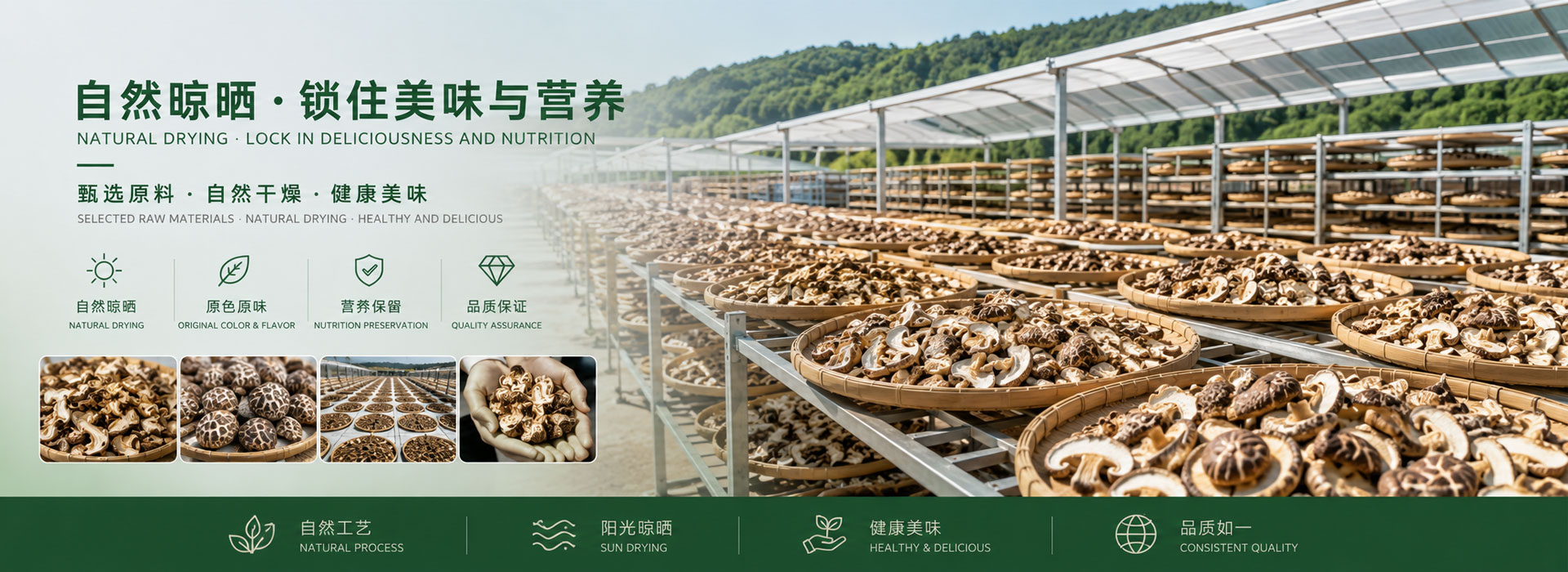 dried-mushroom