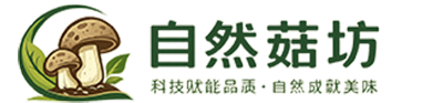 Zing-Pro主题演示